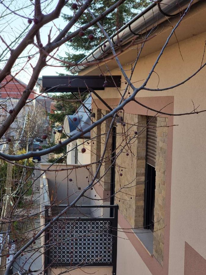 As Apartman 2 Vrsac Ngoại thất bức ảnh